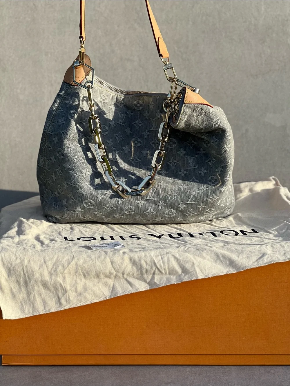 Louis Vuitton Coussin Hobo Denim